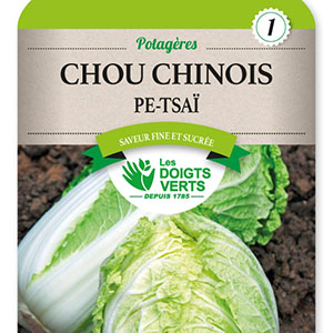 Graines D'Échalion Zébrune (type Cuisse De Poulet) - 1 G - Légume Racine Ancien - Graines Bocquet (non Traitées)