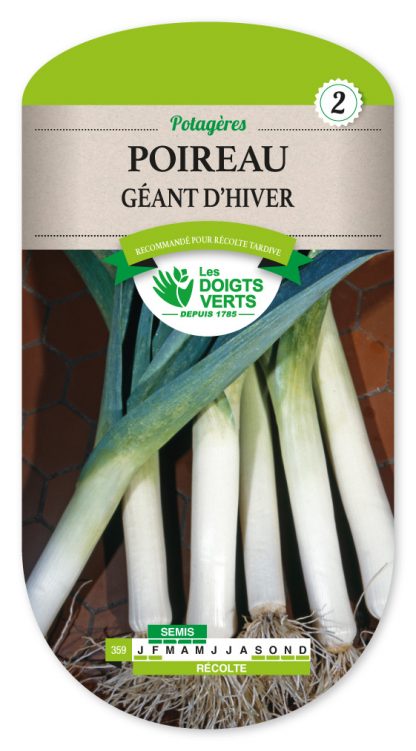 Lot De 250 Graines De Poireau Gros Long D'Eté - Variété Estivale Et - Foto 9