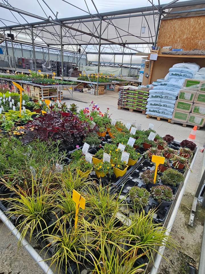 Ets Horticole Desfarges François, monts-jardin.fr