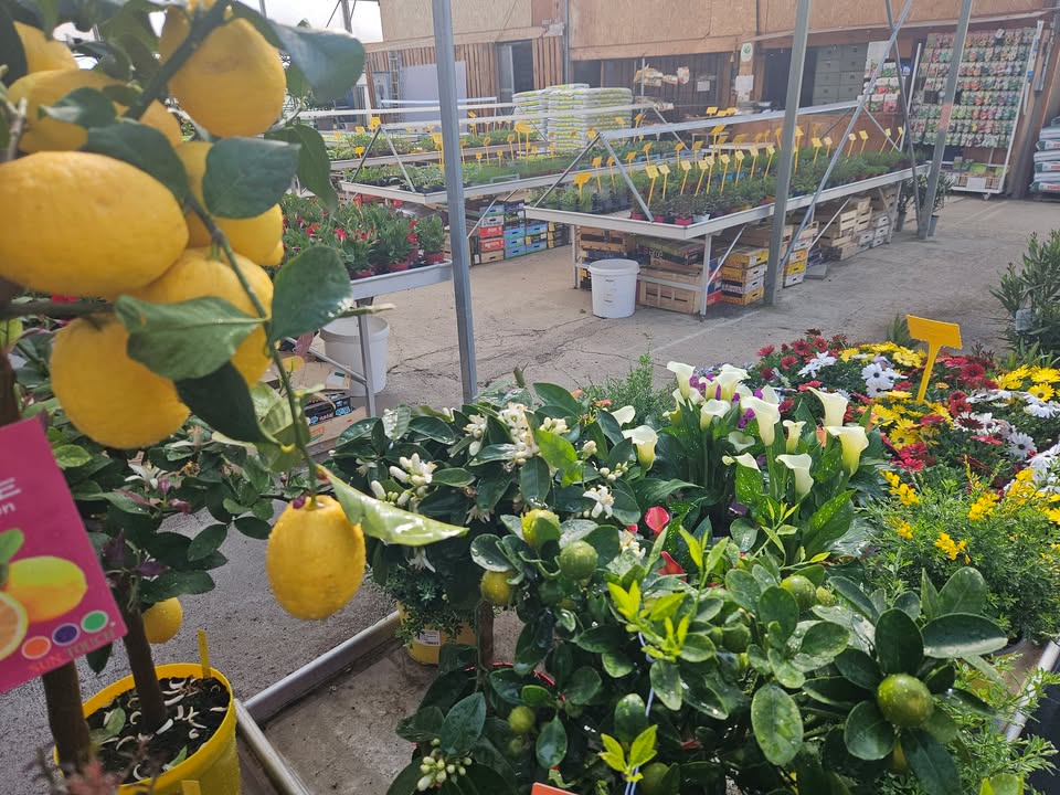 Ets Horticole Desfarges François, monts-jardin.fr