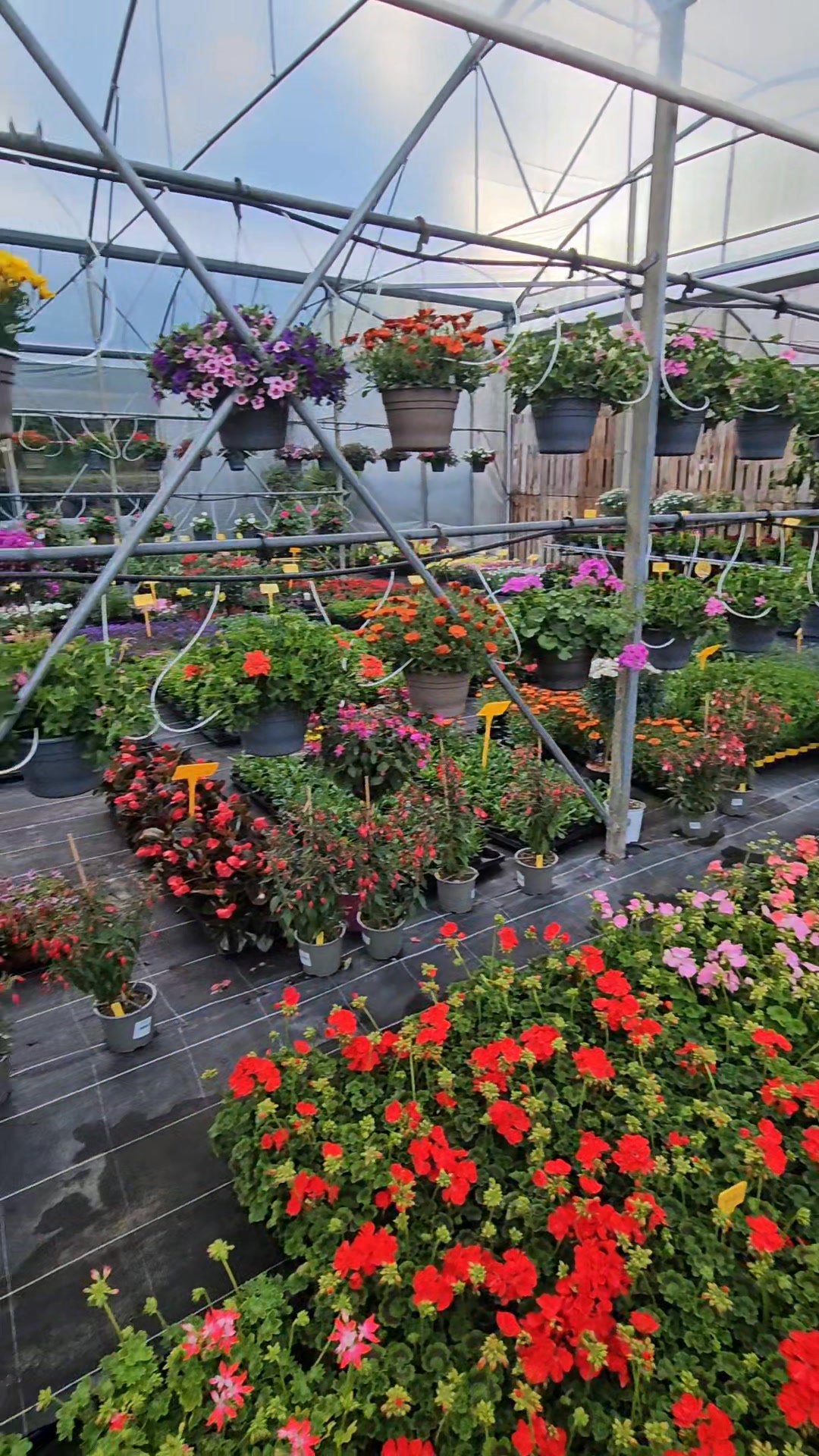 Ets Horticole Desfarges François, monts-jardin.fr